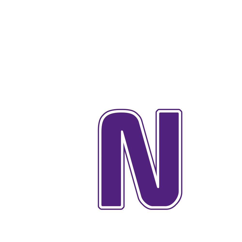 Nebula Nodes Logo